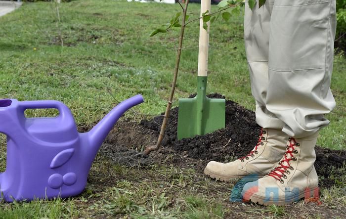 ����������� ���������� ��� � 2023 ���� � ������ ���� ����� �������� 300 ���