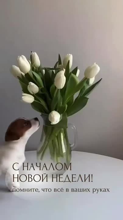 � ������ �����, ������ �������������� ������!
