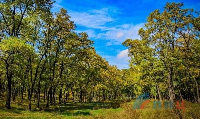 ���������� ������������� ����������-�������� ���� ��� � ����� ������������������