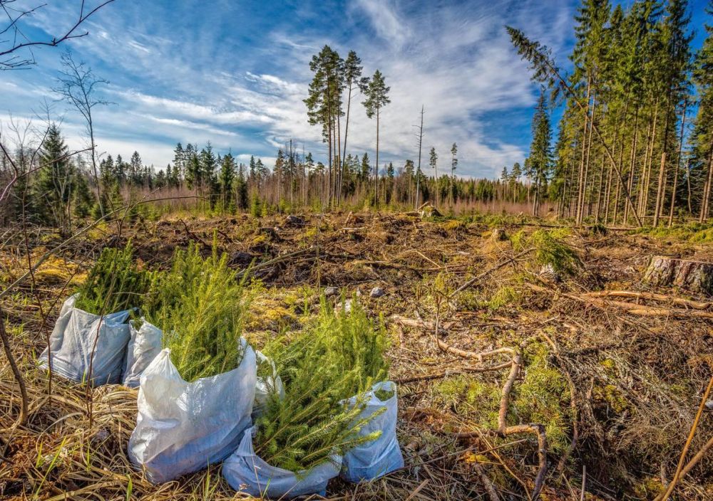 �������������� ������������ �������� � �������� ���������� ����� ��� ����� ����� ����������