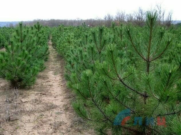 ��� � 2024 ���� ������� �������� �� ������������ ������� �� ������� ����