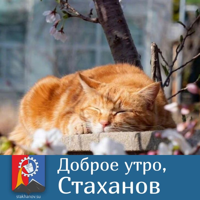 � ������ �����, ��������