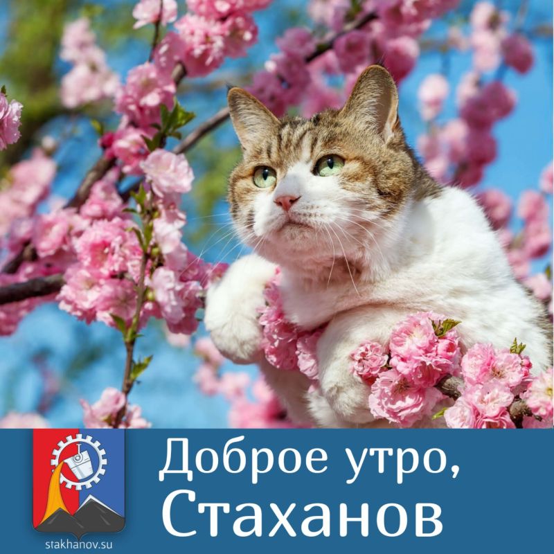 ������ ����, ��������. ����� - ��� ����� ������. ������� ����������� �������� ��� ������� ��������� � � Telegram #�������� #�������_���������