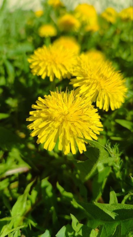 � ������ �����, ������ ����������� �������������� ������!