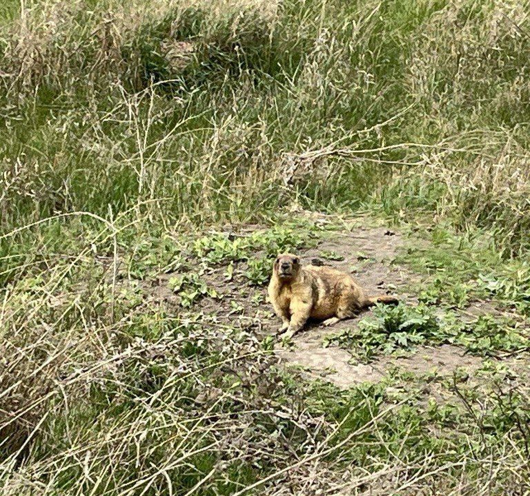 � ������ �����, ������ ����������� �������������� ������!