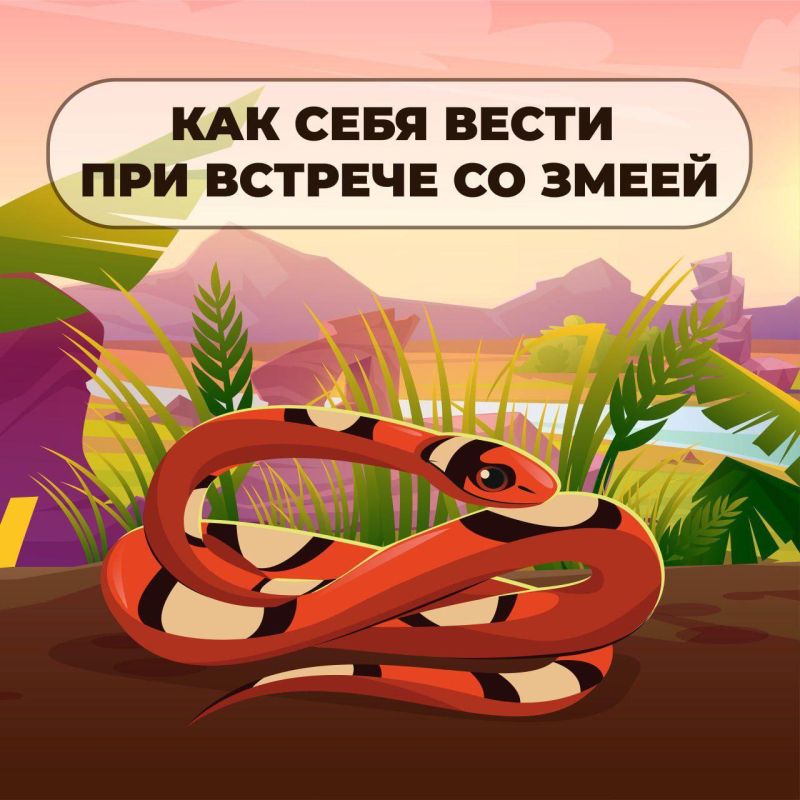 ��� ���� ����� ��� ������� �� �����