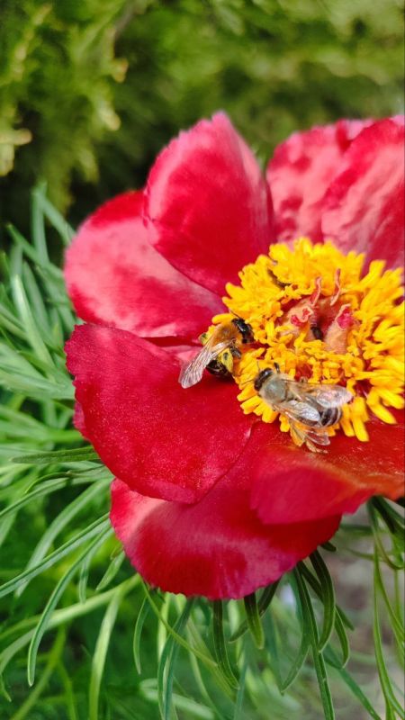 � ������ �����, ������ ����������� �������������� ������!