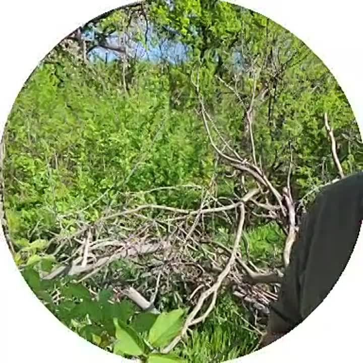 ���������� ������������ �������� ��� �� ����� � ��������� �������� ��� �������� ��������� ���������� ����� ������� ����������