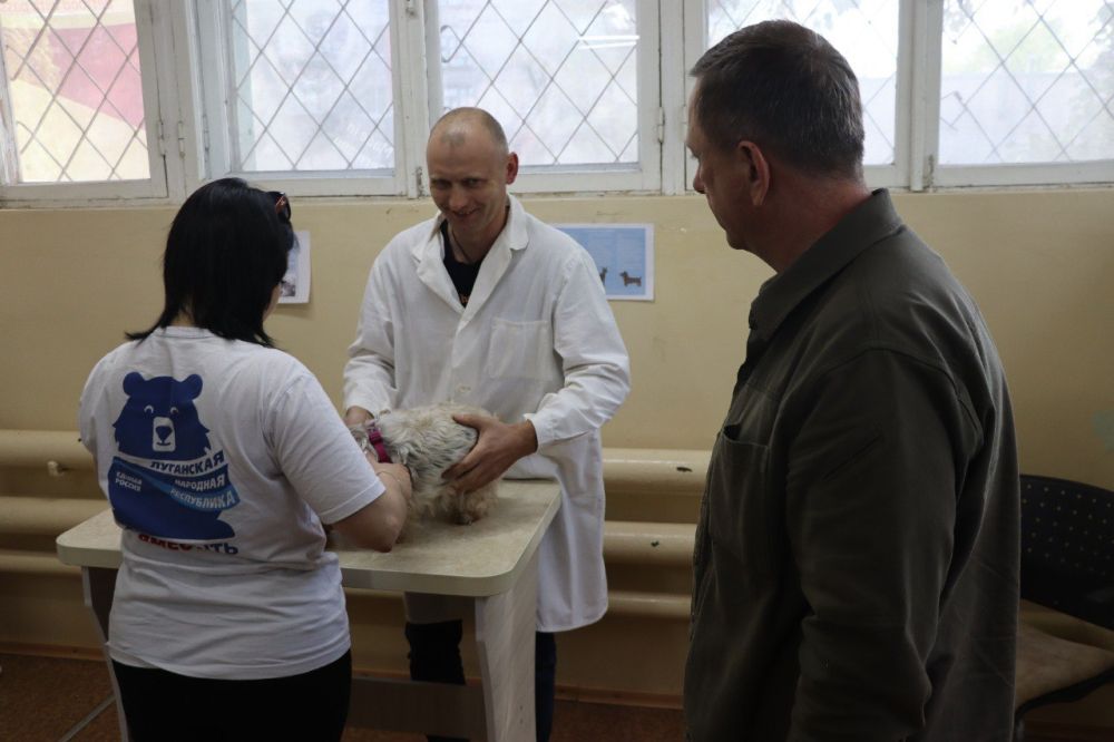 ������������ �������: ������ ����� ������ � �������� �������� ��������