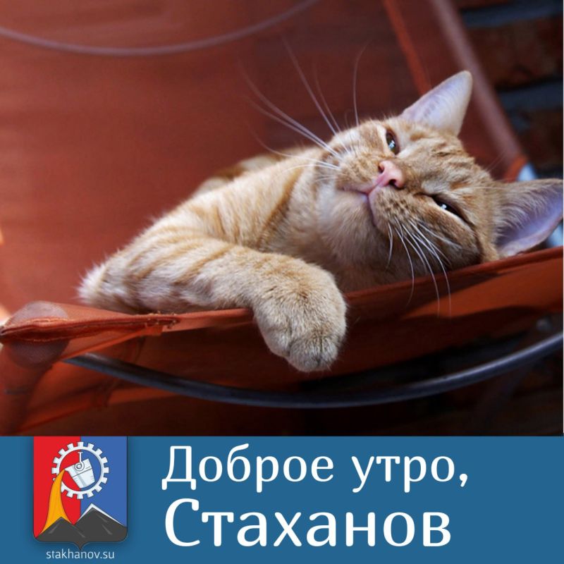 � ������ ��������, �����