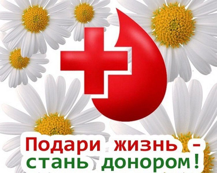 Ольга Бас: Сегодня отмечается Национальный день донора в России