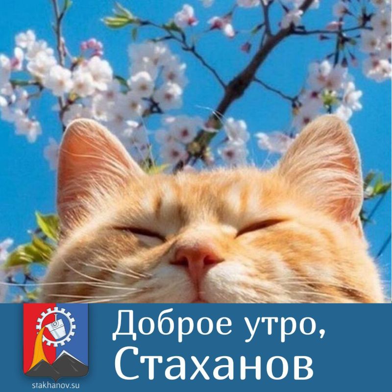 ������ ����, ��������. ���� ������� ��������