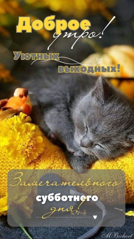 � ������ �����, ������ �������������� ������!