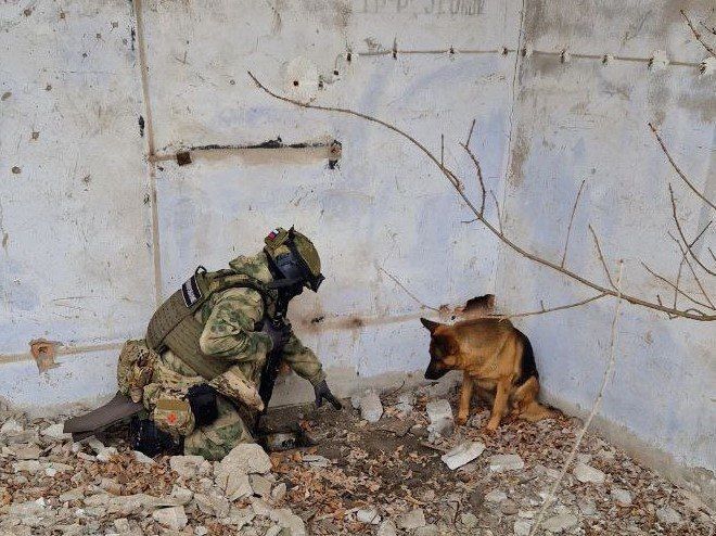 ����� �����: � ��� ������ ������ ��� � ����������� �������