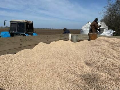 �������� ������� � ��� � ������� ���� ����������� ����� �� 10% � �������