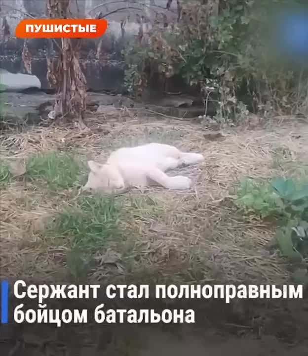 ��� ������ ����� 10 ��, ����� ��������� � ������ �����-������, ������� ��� �������