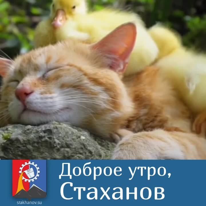 ������ ����, ��������. ������� ������������� ��������, � ������ ���������� �� 18 �������� ����� ������ ���� ������ � ������� ��������� ��� ��� ������� ��������� � � Telegram #�������� #�������_���������
