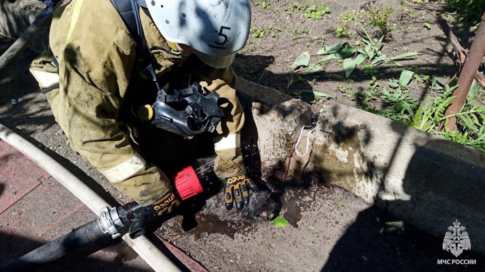 Пожарные МЧС России провели спасательную операцию