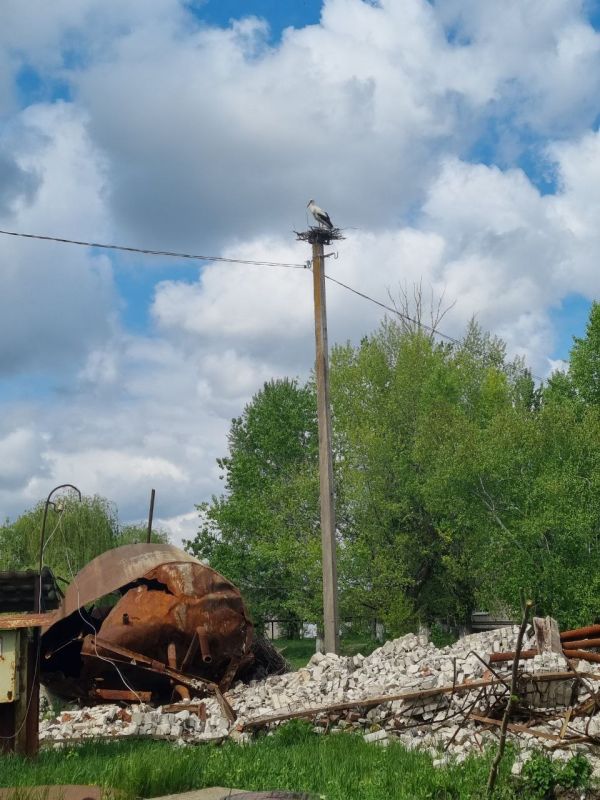 ������� ��������: � �������� �������� ������ �� ��������� ����� ������������ ����� ����� � ���������