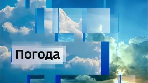 ��������� ������������ 23 ������ � ��� �� 23 �������� �����, ������� ����� � ������