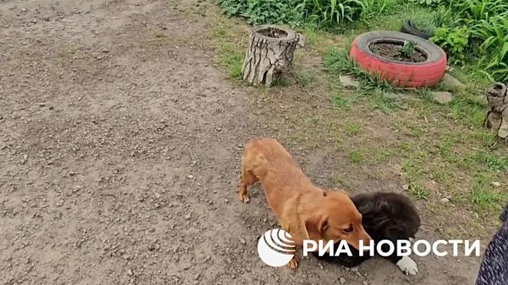 ��� ������� ����� � ��� ��� ������ ��� �� ������� �������� ���������, ���������� ���������� ��� ��������� �� ������� ����������� ������� ������� ���������