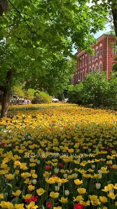 ������-��-���� � �������� �����: ����� ������������ ������ ������ ���������, �������� ������� ������������� ������