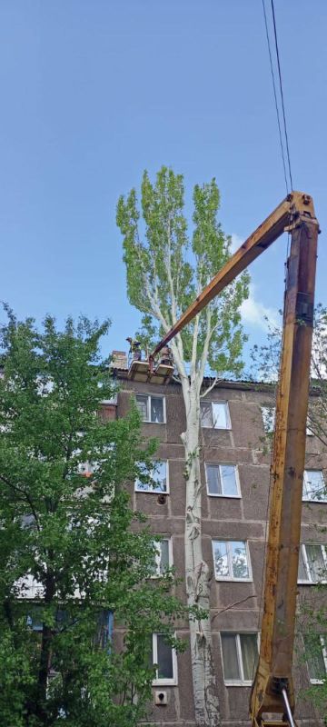 �������� ��������: ������������ ������ ���������� ������ �� ������ �������