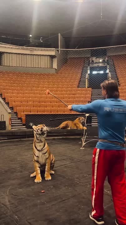 ��� ������� �������� �� �������� ��������� ��100��߻, ������� ������� � �������� 29 ������?