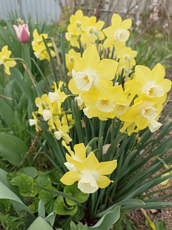 � ������ �����, ������ ����������� �������������� ������!