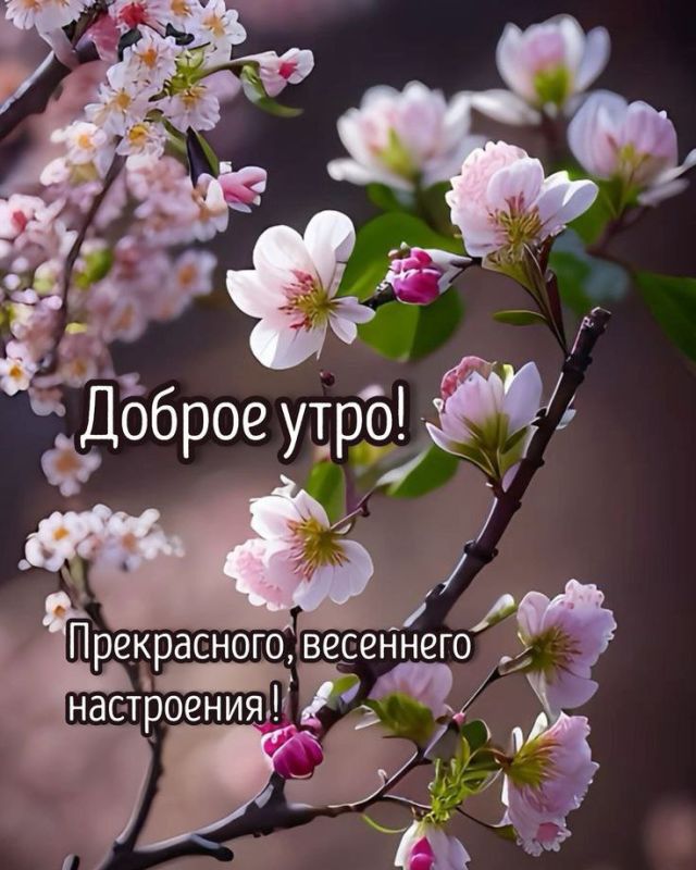 � ������ �����, ������ �������������� ������!