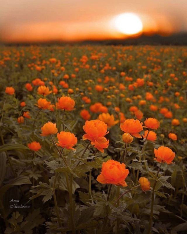 �a��� � ��������� ���� �������� ��a�