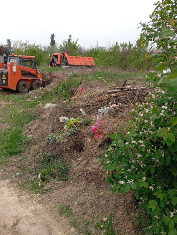 �������� ��������: ������������ ������ ���������� ������ �� ������ �������