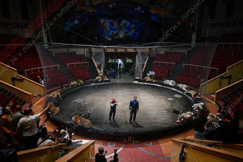 ������ �������� ������� ��������� ����� ��������� ������ ��� � ��������� ����� (������������)