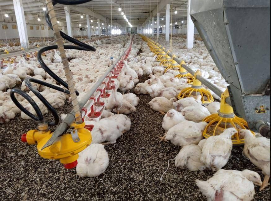 � ��� ����� �������� ��� ����������� ����� 100 ��� ������ � ������������� ������������ ������������