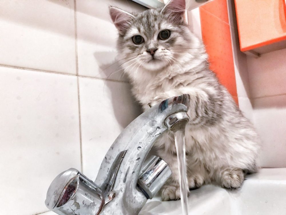 К сведению жителей Луганска!