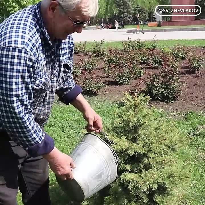 ������ ��������: ������� ������ � ��������� ����� �� ������������������� ���������