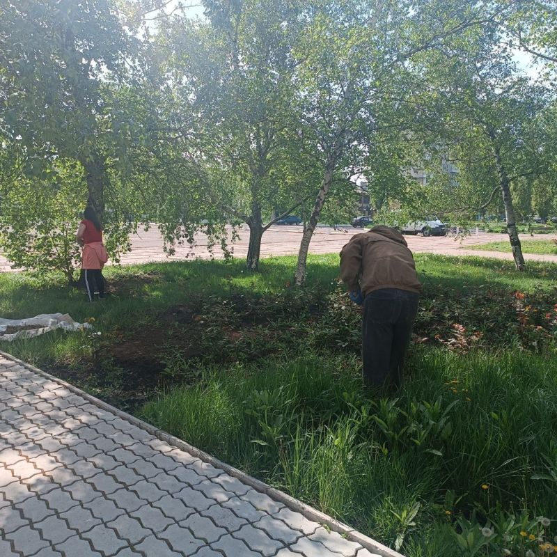 �������� ��������: ��������� ������� ������� �� ������������� ����������