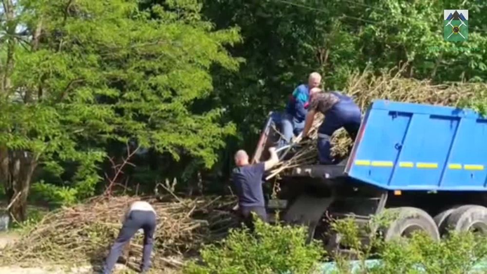 Брянка присоединилась ко всероссийскому субботнику!