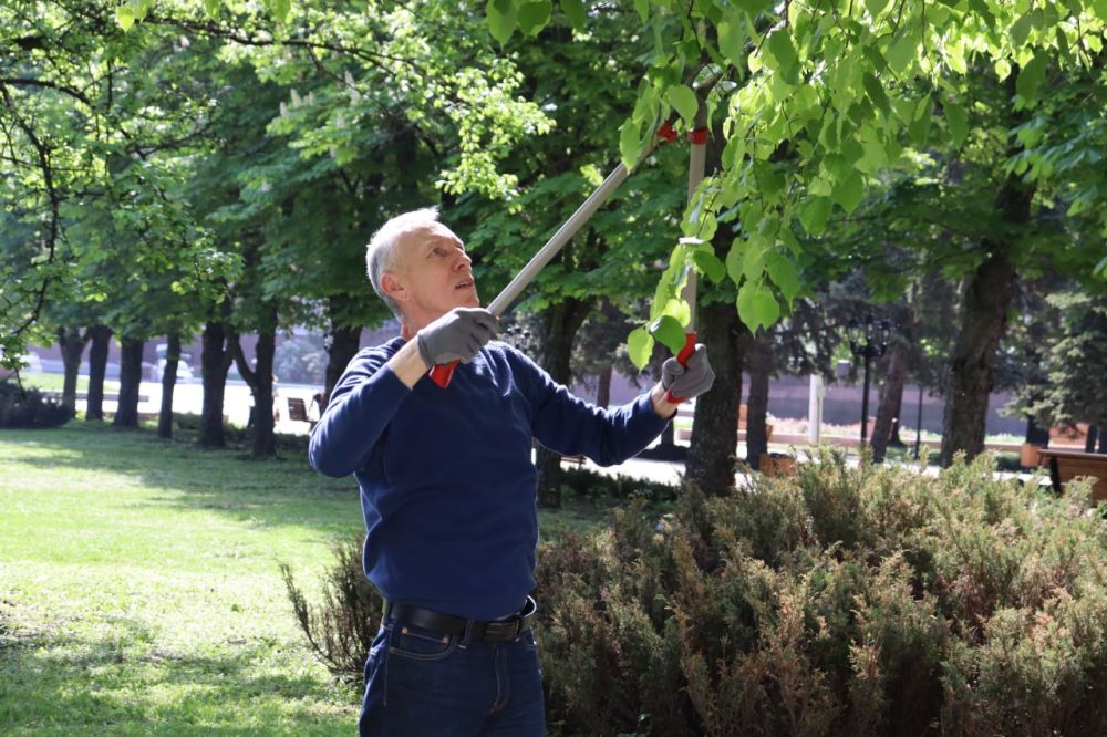 ������ ��������: ����������� ��������� ������������������������ ������ �����, ��������� � ������� ������ � ������ � �������� ������� ��� � ����