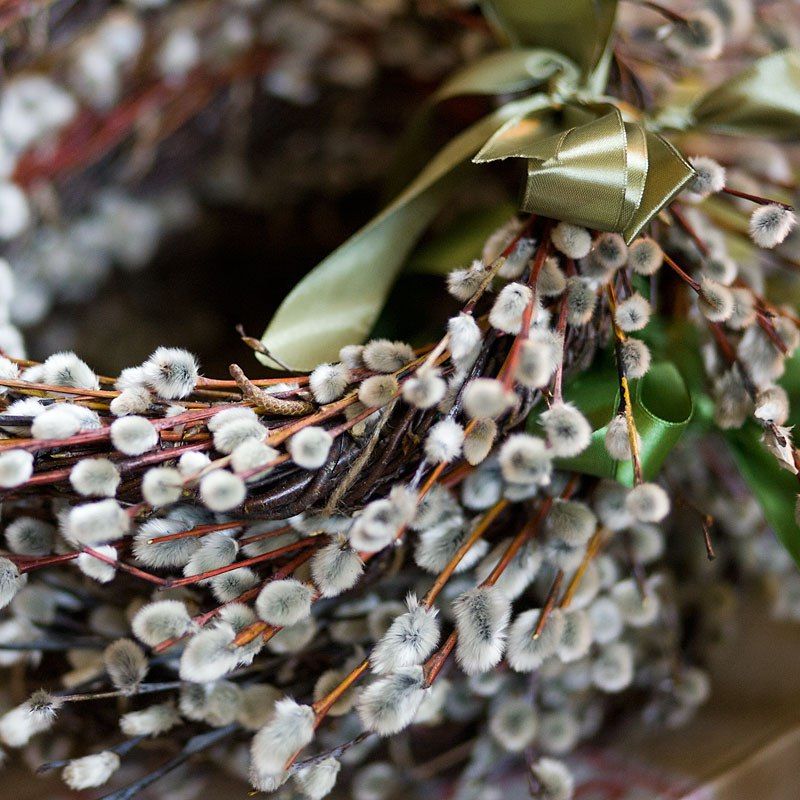 ������� �������: � ������� ������������, ������!