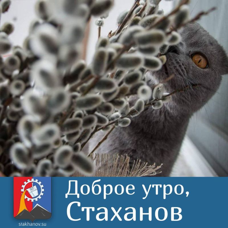 � ������ �����, ������������