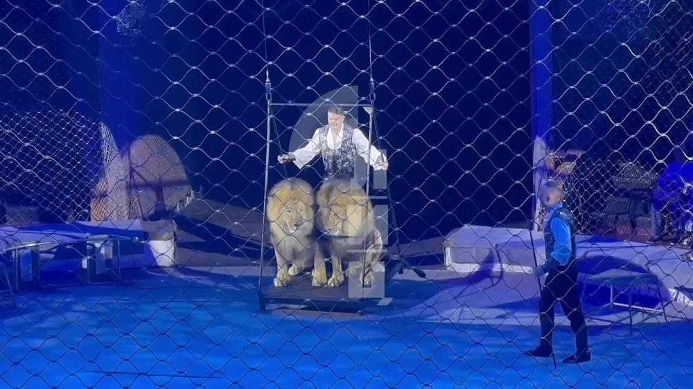 ����� ��������: ���� �� ������ ������������ ���������, � ������� �������� � �� ������, ������� ��� ���, ��� ������� ������ �������� � ��������