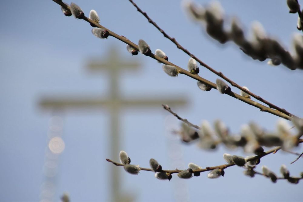 ������� �����: ������� �������!. �� ����� ������ ���������� ��� � ������� ������������! ���� �������� ������������� �������, �������� ����� ���������� � �������������. ���� ���� ����, ������� � �����