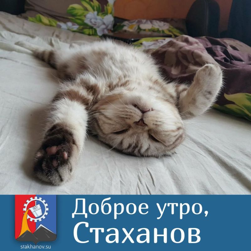 ���� ������������ �����