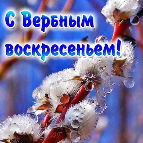 � ����� ������� ������ �������� ������: ������ � ����� ������