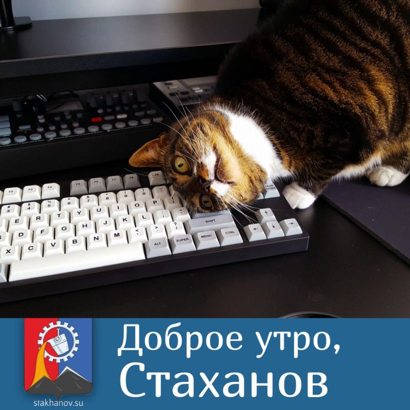 ��������� � ����� �������� ������� ������ ����