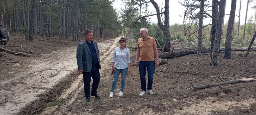 ������� ��������: �������, ����� ������� �������� ����� �� ����� ������� � ������� ��������, ������ � ������������ �����...