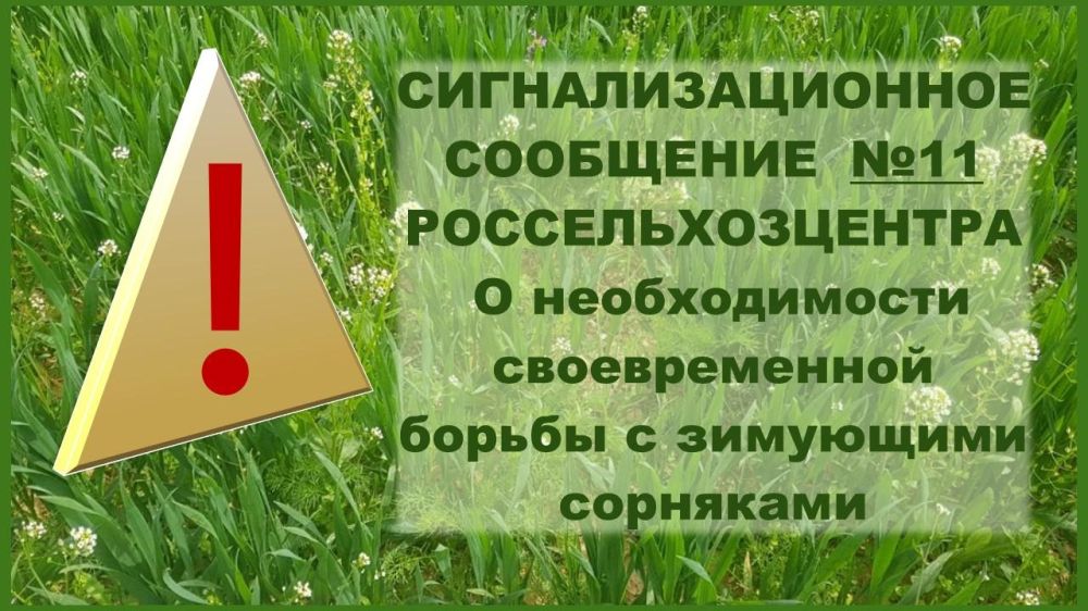 ����������� ���������� ������� ���������������� ���������� � ������������� ������ � ��������� ���������