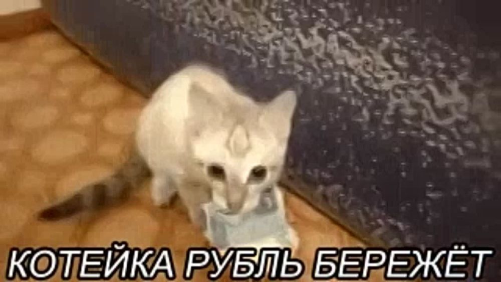 ������� �������� ����� ��������