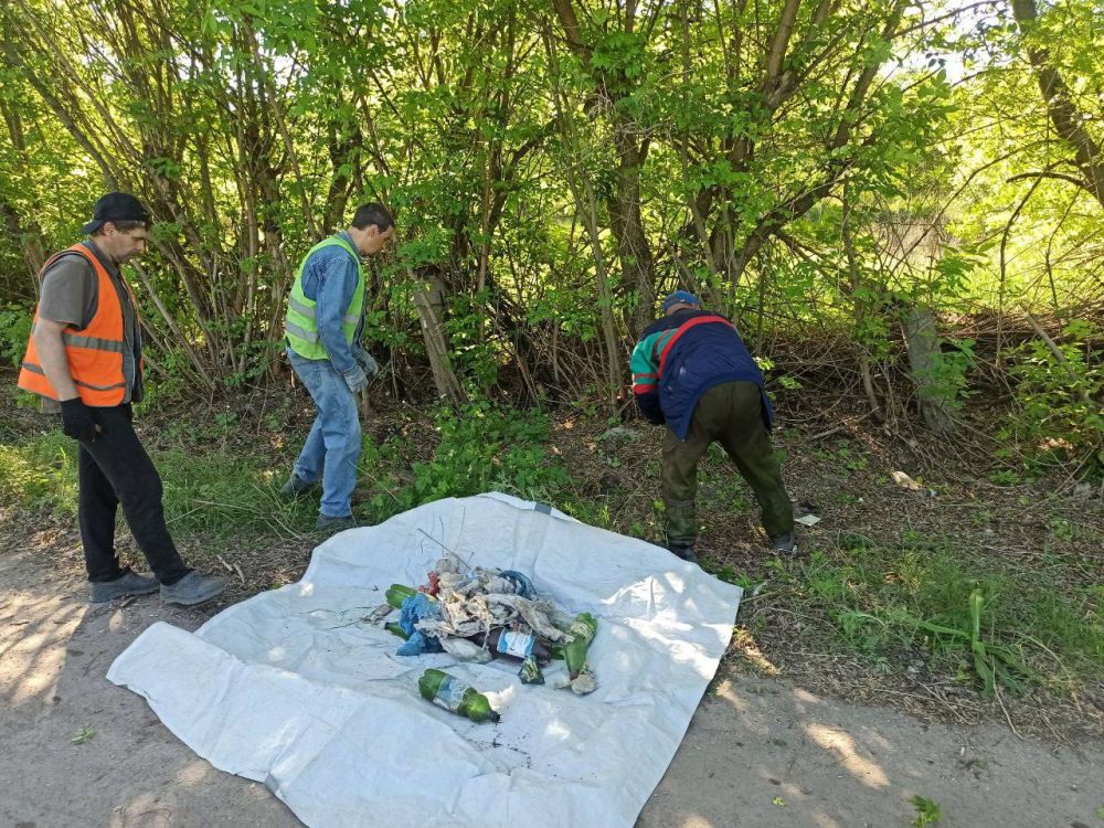 �������� ��������: ������������ ������ ���������� ������ �� ������ �������